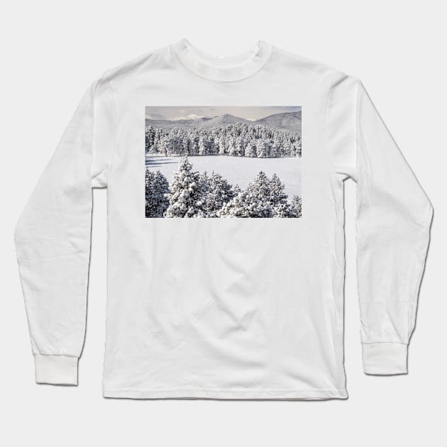 Winter Wonderland Long Sleeve T-Shirt by algill